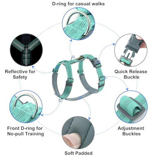 Plutus Pet No Pull Dog Harness, Adjustable Nylon Harness with Soft Padding, Reflective and Heavy Duty Dog Harness for Small, Medium, Large Dogs(Teal, M) - color: Teal, size: M