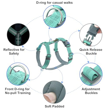 Plutus Pet No Pull Dog Harness, Adjustable Nylon Harness with Soft Padding, Reflective and Heavy Duty Dog Harness for Small, Medium, Large Dogs(Teal, M) - color: Teal, size: M