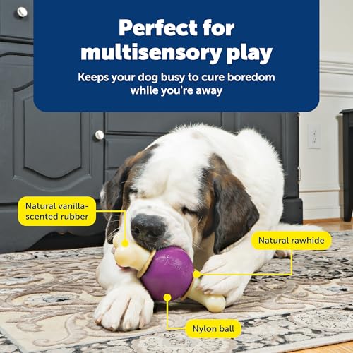 PetSafe Busy Buddy Bouncy Bone, Treat Holding Dog Toy, Large, Best for Dogs Over 75 Lb. - size: Large, style: Bouncy Bone