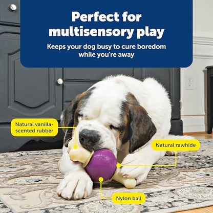 PetSafe Busy Buddy Bouncy Bone, Treat Holding Dog Toy, Large, Best for Dogs Over 75 Lb. - size: Large, style: Bouncy Bone