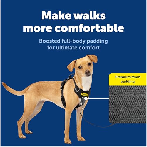 PetSafe Easy Walk Comfort No-Pull Dog Harness Full-Body Padding - Better Walks on the First Use - 5 Points of Adjustment X-Small, Black - color: Black, size: Extra Small