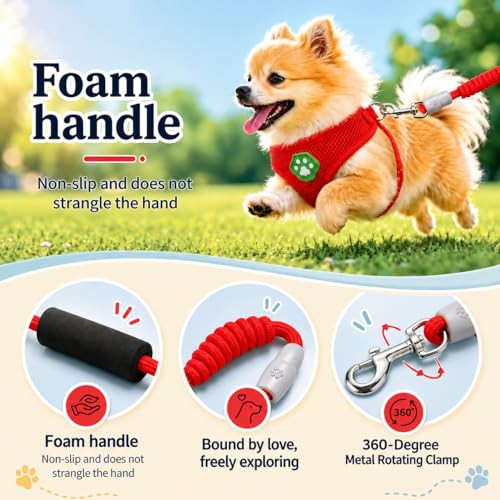 Dog Harness Small Sized and Leash Set, Step in Soft Light Puppy Vest, Breathable Mesh Pet Harness, Adjustable Pet Puppy Harness, Easy Walk Dog Harness, M: Chest 11.8-17.7" - color: Red, size: M: Chest 11.8-17.7" Leash 4 FT