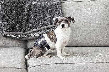 Pet Parents® Washable Belly Bands for Male Dogs (3pack) + Extendrs® of Durable Dog Diapers Male, Premium Male Dog Diapers & Dog Wraps (Medium, Camo) - color: Camo, size: Medium (16-20")