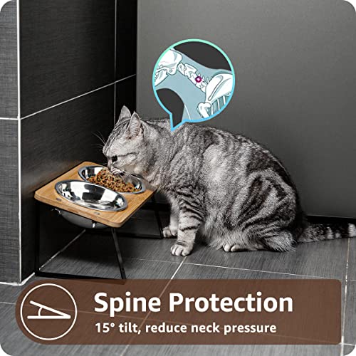 AYADA Elevated Cat Bowls, Height Adjustable Raised with Stand Lifted Ergonomic Anti Vomiting Non Slip Slanted Tilted Double Bowls Food Water Stainless Steel - color: Stainless Steel