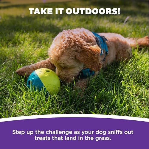 Outward Hound by Nina Ottosson Treat Tumble – Interactive Food-Dispensing Dog Puzzle Ball, Level 1 Beginner, Small, 4.8" - color: Treat Tumble (Small Blue)