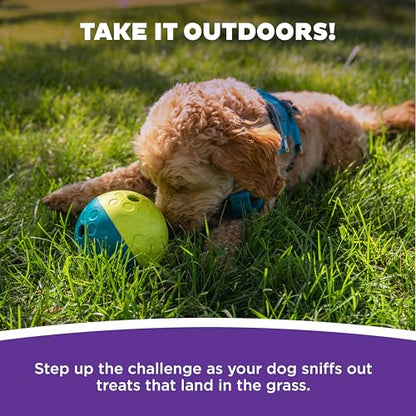 Outward Hound by Nina Ottosson Treat Tumble – Interactive Food-Dispensing Dog Puzzle Ball, Level 1 Beginner, Small, 4.8" - color: Treat Tumble (Small Blue)