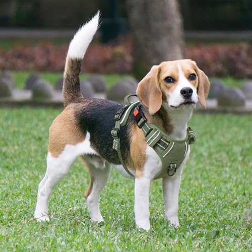 Timos Dog Harness Small Sized, No Pull Pet Harness with Neck Lockable Snap,No Choke Front Clip Dog Reflective Vest,Adjustable Metal Rings 3 Buckles,Easy Control Handle for Small Dogs Green S - color: Lock Green, size: Small (Pack of 1)