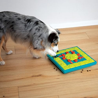Outward Hound by Nina Ottosson MultiPuzzle – Interactive Dog Treat Puzzle Enrichment Toy, Level 4 Expert - color: Multipuzzle (Green)