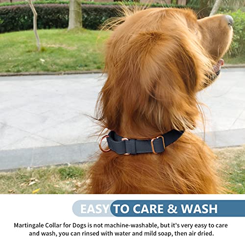 Soft Leather Martingale Dog Collar - Adjustable Rose Gold Limited Slip Collars [Easy to Clean], Stylish Durable Heavy Duty Nylon No Pull Training Collar for Small Medium Large Dogs XS Black - color: Black, size: XS (Neck 8"-11", Width 3/5")