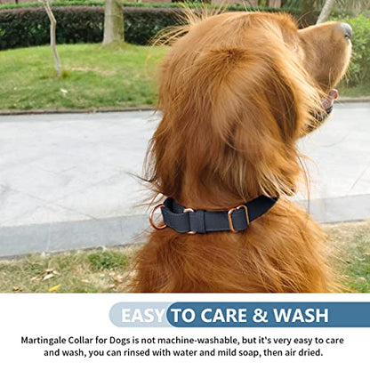 Soft Leather Martingale Dog Collar - Adjustable Rose Gold Limited Slip Collars [Easy to Clean], Stylish Durable Heavy Duty Nylon No Pull Training Collar for Small Medium Large Dogs XS Black - color: Black, size: XS (Neck 8"-11", Width 3/5")