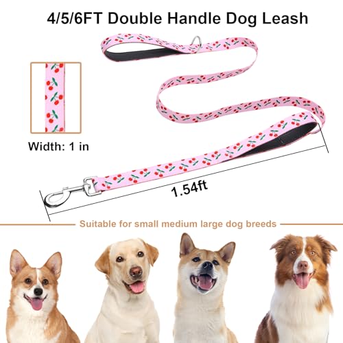 5ft Dog Leash with Two Padded Handles, Heavy Duty Strong Nylon Pet Leash with Soft Neoprene Handle for Small Medium Large Dogs, Cherry - color: Cherry, size: 1 in x 5 ft