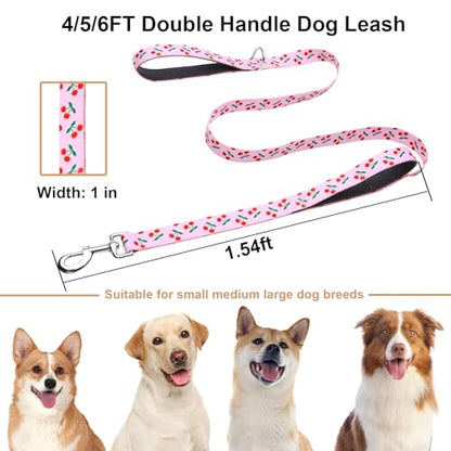 5ft Dog Leash with Two Padded Handles, Heavy Duty Strong Nylon Pet Leash with Soft Neoprene Handle for Small Medium Large Dogs, Cherry - color: Cherry, size: 1 in x 5 ft