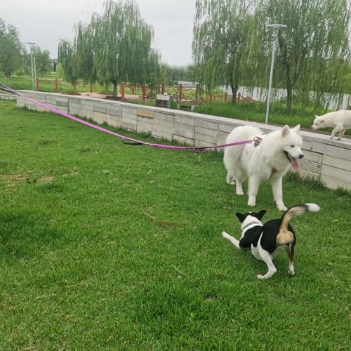 WYuZe 3 Handle Dog Leash for Large Dog 7FT Nylon Bungee Dog Training Leash | Reflective Shock Absorbing Triple Padded Handle Heavy Duty for Medium Dog Traffic Control No Pull Walking Hiking Purple - color: Purple