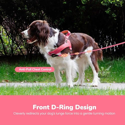 Didog No Pull Dog Harness with Breathable Mesh Padded,Reflective & Quick Fit Light Weight Dog Strap Vest Harness,Easy for Walking Training (XS:Chest 15-18", Pink) - color: Pink, size: XS: Chest 15-18", Fit 9-18 lbs