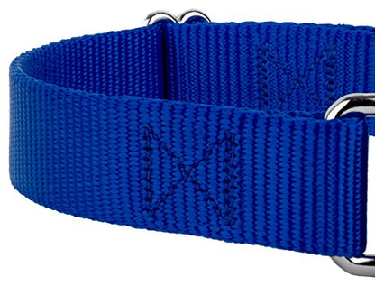 Country Brook Petz - Royal Blue Martingale Heavyduty Nylon Dog Collar and Double Handle Leash (3/4 Inch, Small) - color: Royal Blue, size: Small (Pack of 1)