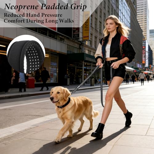 Double Handle Dog Leash 6 FT Reflective 2 Handle Traffic Lead with Padded Grip, Heavy Duty Nylon Leash for Walking Training, for Small Medium Large Dogs, Black - color: Black