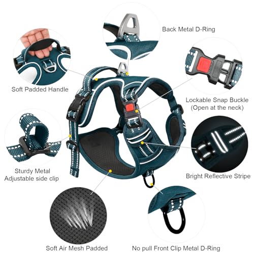 Timos Dog Harness Small Sized, No Pull Pet Harness with Neck Lockable Snap, No Choke Front Clip Reflective Vest, Adjustable Metal Rings 3 Buckles, Easy Control Handle for Small Dogs Blackish Green S - color: Lock Blackish Green, size: Small (Pack of 1)