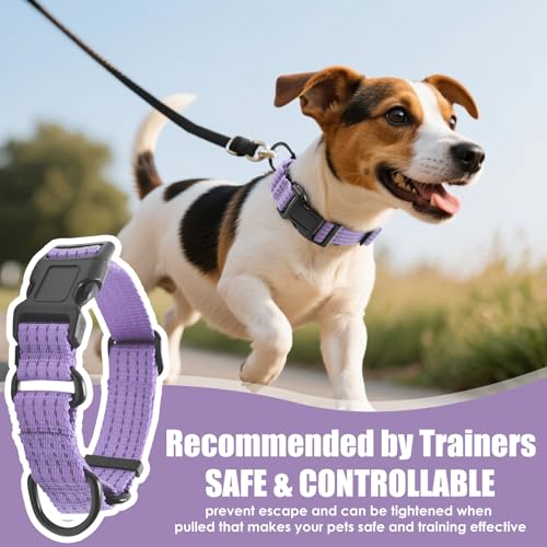 Martingale Dog Collar, Reflective No Pull Training Collar with Quick Release Buckle, Adjustable Heavy Duty Nylon Choker Collars for S M L Dogs (Lavender, XS (3/5" x 11"-13.5")) - color: Lavender, size: XS (3/5" x 11"-13.5")