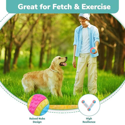 SPOT Sensory Ball for Soft Chewers - Stimulates All 5 Senses, Bell & Squeaker Sounds, Raised Nubs Clean Teeth, High Contrast Fetch Toy, Beef Scented, Durable TPR Rubber Ball, 2.5-inch - size: 2.5 inch (Pack of 1)