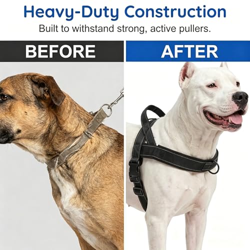 No-Pull Dog Harness with Handle, Adjustable Reflective Pet Vest Tactical Harness for Small Medium Large Dogs Walking Training, Front Clip, Escape Proof & Heavy Duty D-Ring (Black, XL) - color: Black, size: XL