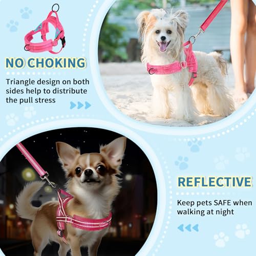 Lukovee No Pull Dog Harness and Leash Set, Soft Padded Small Dog Harness, Neck & Chest Adjustable Reflective Vest Puppy Harness with 4ft Lightweight Anti-Twist Dog Leash for Small Dogs (XXS, Pink) - color: B-pink, size: XXS ( Chest 11.5'' ~ 15'')