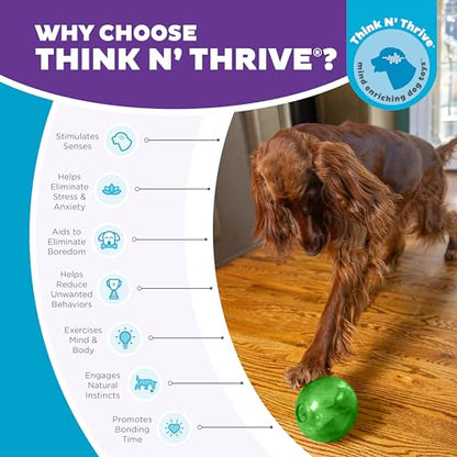 Outward Hound Orbee-Tuff Mazee Interactive Dog Puzzle Toy, Treat Dispensing Slow Feeder Ball, Green, 4.7-Inch - color: Green