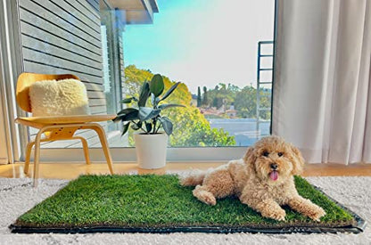 Washable Puppy Dog Pee Pads Mat, Reusable Pee Pad Mat (26.75 in x 51.5 in), Leakproof Potty Training Pad Mat, Real Grass Potty Training Flex Mat, Training Pee Pad Holder for Dogs - Tray Alternative