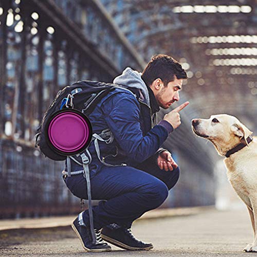 Large Collapsible Dog Bowls, 34oz Travel Water Food Bowls Portable Foldable Collapse Dishes with Carabiner Clip, 2 Pack (Purple+Red) - color: 34oz-Purple&Red