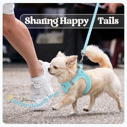 rabbitgoo Dog Harness Small Sized and Leash Set, Step in Soft Light Puppy Vest, Breathable Mesh Pet Harness, Reflective for Safe Easy Walking, Mint Blue XXXS - color: Mint Blue, size: Xxxs (chest: 10.8 - 11.8")