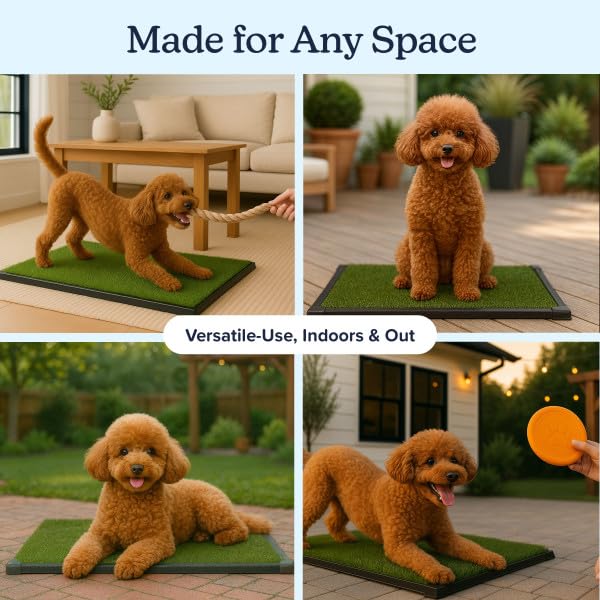 Artificial Grass Puppy Pad with Tray 16x20 inch | Reusable Indoor & Outdoor Dog Potty Training Mat System | Washable Fake Grass Pet Housebreaking Pad for Puppies & Small to Medium Dogs by PETMAKER - size: Small 3-Layer System