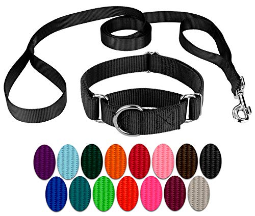 Country Brook Petz - Black Martingale Heavyduty Nylon Dog Collar and Double Handle Leash (1 Inch, Extra Large) - color: Black, size: Extra Large (Pack of 1)