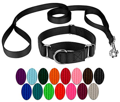 Country Brook Petz - Black Martingale Heavyduty Nylon Dog Collar and Double Handle Leash (1 Inch, Medium) - color: Black, size: Medium (Pack of 1)