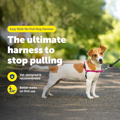 PetSafe Easy Walk No-Pull Dog Harness - Ultimate Harness to Help Stop Pulling - Pull-Free Walks - Take Control & Teach Better Leash Manners - Patented Martingale Loop Design - Raspberry, Small - color: Raspberry Pink/Grey, size: Small