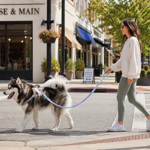 Dog Leash for Small to Medium Dogs, Shock Absorbing Dog Leashs, Dog Walking Leash, Dog Training Leashs, Ombre Color， 4-5.5 Feet(Violet-Green Ombré) - color: Violet-Green Ombré