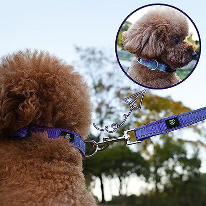 NESTROAD Dog Collar and Leash Set,Reflective Dog Collars with Quick Release Buckle,Adjustable Nylon Pet Collar for Small Medium Large Dogs(Small,Purple) - color: Purple, size: Small