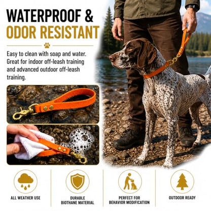 Biothane Training Tab Leash for Dogs, Brass Hardware, No Pull with Easy Grip Handle, Made in The USA, Professional Grade-Orange - color: Orange