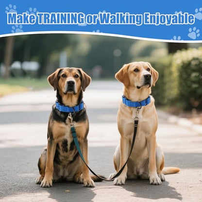 Martingale Dog Collar, Reflective No Pull Training Collar with Quick Release Buckle, Adjustable Heavy Duty Nylon Choker Collars for S M L Dogs (Blue, M (1" x 15.5"-19.5")) - color: Blue, size: M (1" x 15.5"-19.5")