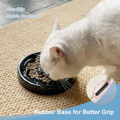 Slow Feeder Bowl for Cats and Small Dogs,Cilkus Fish Pool Design, Fun Interactive Bloat Stop Puzzle Feeder Bowl Healthy Eating Diet Made of Melamine Food Grade Material Dishwasher Safe (Black) - color: Black