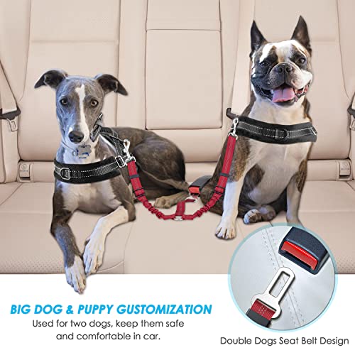 SlowTon Dog Seat Belt, Double Dog Seatbelt Adjustable Vehicle Safety Leash with Elastic Bungee Buffer, Reflective No Tangle Y Shape Two Dog Harness Seat Belt Splitter for Pets Car Trip (Red, M) - color: D.Red, size: 2 Medium in 1
