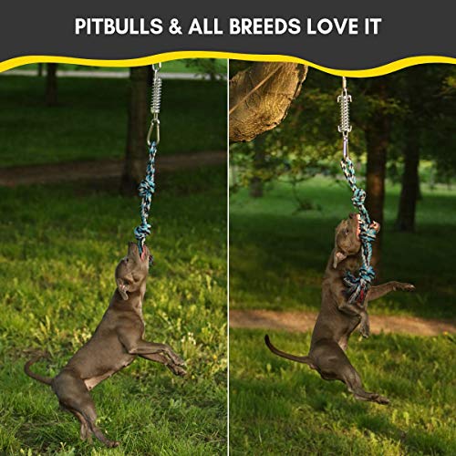YES4QUALITY Flirt Pole for Dogs, 2 Durable Spring Poles with Strong Dog Rope Toy, Heavy Duty Lure Pole for Dogs of Any Size, Dog Toy for Fun Obedience Training & Exercise, Pull & Tug of War Toy - size: Spring Pole