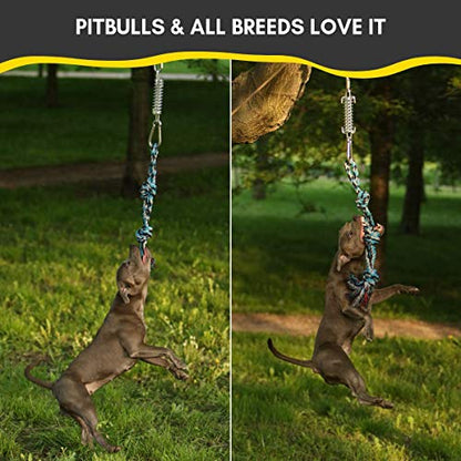 YES4QUALITY Flirt Pole for Dogs, 2 Durable Spring Poles with Strong Dog Rope Toy, Heavy Duty Lure Pole for Dogs of Any Size, Dog Toy for Fun Obedience Training & Exercise, Pull & Tug of War Toy - size: Spring Pole