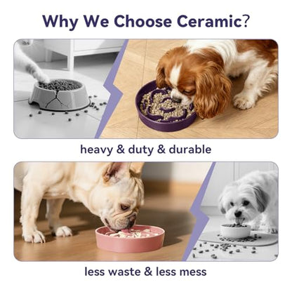 Ceramic Slow Feeder Dog Bowl, 0.8 Cups Anti -Slip Slow Feeding Bowl to Slow Down Eating, 6.3 Inch Dog Food Dish for Small Breeds, Purple - color: Purple, size: Small
