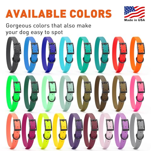 Dogline Biothane Waterproof Dog Collar Strong Coated Nylon Webbing with Black Hardware Odor- Proof for Easy Care Easy to Clean High Performance Fits Small Medium or Large Dogs, Treasure Gold
