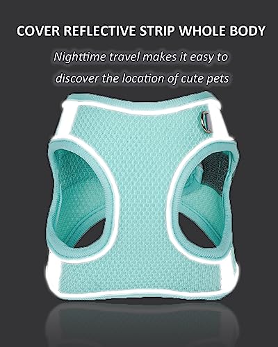 SOLMOONY Dog Harness for Small Medium Large Dogs No Pull, Puppy and Leash Set, Dogs, Step in Harness, mesh Harness. (Bule, XS) - color: Bule, size: XS