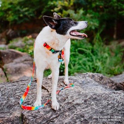 Wilderdog Waterproof Dog Collar - Repels Water & Dirt - Medium 13"-18" - Tie Dye - color: Tie Dye, size: Medium