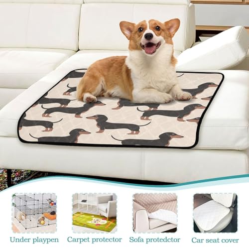 Qilmy Dachshund Dog Pet Mat, Waterproof Reusable Dog Training Pad Anti-Slip Pet Creat Pad for Small Medium Large Dogs and Cats - size: Medium+Large