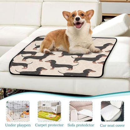Qilmy Dachshund Dog Pet Mat, Waterproof Reusable Dog Training Pad Anti-Slip Pet Creat Pad for Small Medium Large Dogs and Cats - size: Medium+Large