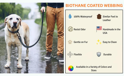 DogTraxs Essential Biothane Dog Leash, Mint Green, 3/4 in x 4 ft | Waterproof, For Large, Medium, Small Dogs, Dog Training, Locking Carabiner - color: Mint Green, size: 3/4 In x 4 Feet