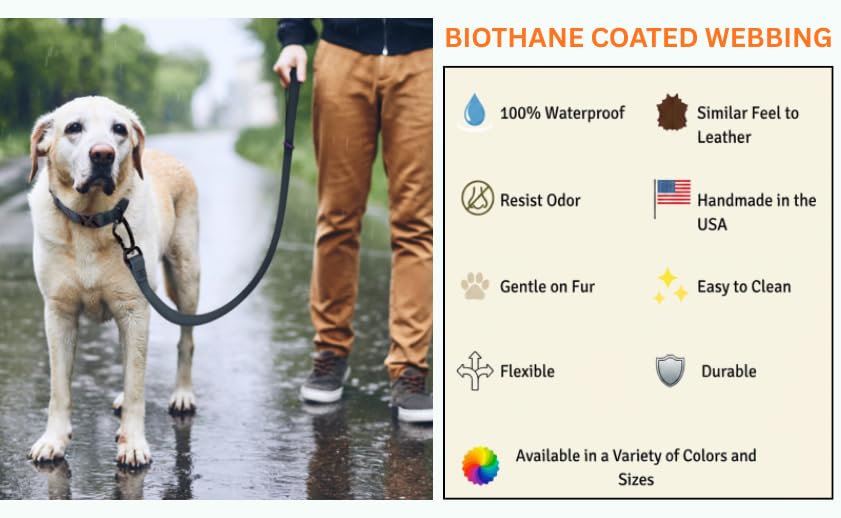 DogTraxs Essential Biothane Dog Leash, Biscuit Brown, 3/4 in x 5 ft | Waterproof, For Large, Medium, Small Dogs, Dog Training, Locking Carabiner - color: Biscuit Brown, size: 3/4 In x 5 Feet