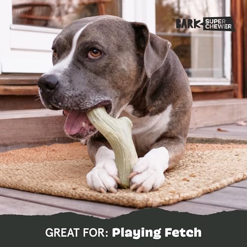 Barkbox Super Chewer Tough Dog Chew Toys for Aggressive Chewers, Dental Stimulating (Antler - Large) - color: Big Game Antler - Large, size: Medium/Large